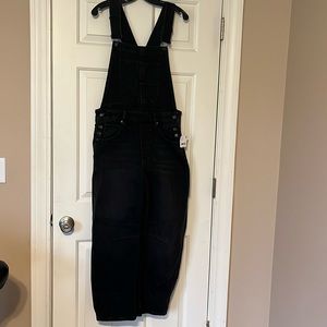 Free people overalls